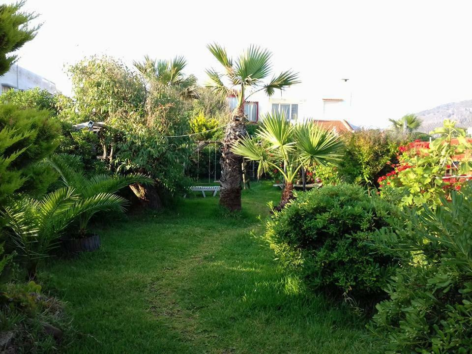 Georgia Seaside Villa Hersonissos  Dış mekan fotoğraf